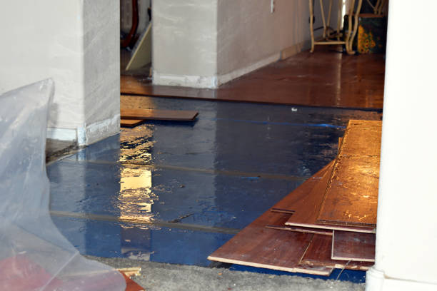 Professional Flood Damage Repair technician working in Riverside, RI